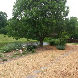 Log Ends Farm Bed & Breakfast - Croaking frogs are plentiful around the pond.