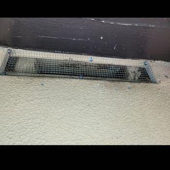 HomeShield Pest Control - Pest Control Near Me