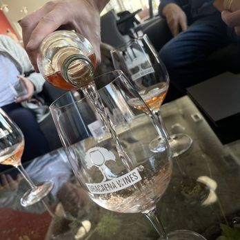Dracaena Wines - a person pouring a glass of wine - Wineries Near Me - Paso Robles, California