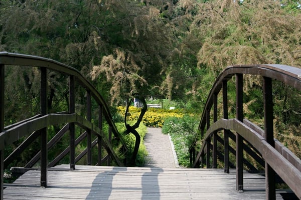 Botanical Garden of the University of Wrocław by null