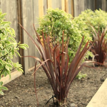 Growing Planet Landscape - Landscaping Near Me Growing Planet Landscape - Landscaping Near Me