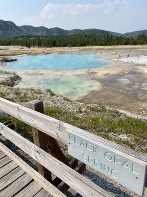 Biscuit Basin by null