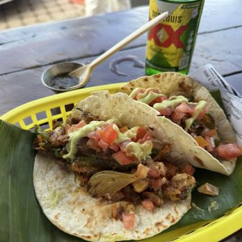The Surfin Burrito - 2 of the 3 shrimp/mahi tacos your choice of ingredients and about 6 different types tortillas. - Bars Near Me - Cancún, ROO