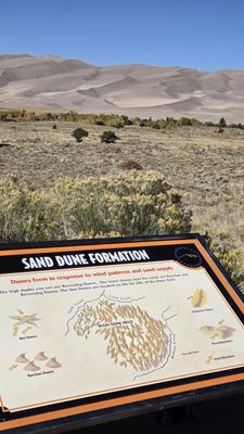 Piñon Flats Campground by null