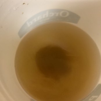 Culligan Water Conditioning - Resin beads at the bottom of the tenth bucket. - Water Purification Services Near Me - Santa Maria, California Culligan Water Conditioning - Resin beads at the bottom of the tenth bucket. - Water Purification Services Near Me - Santa Maria, California