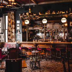 The Dandelion