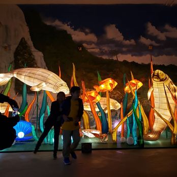 Jungle Island - Amusement Parks Near Me - Miami, Florida Jungle Island - Amusement Parks Near Me - Miami, Florida
