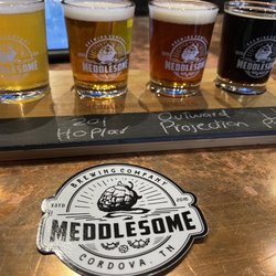 Meddlesome Brewing company - A solid flight