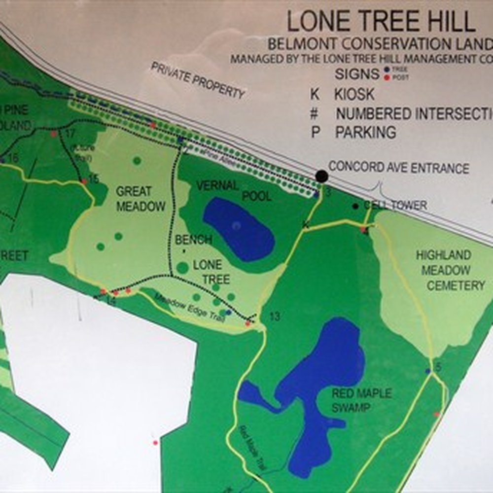 Lone Tree Hill - Hiking Near Me - Belmont, Massachusetts Lone Tree Hill - Hiking Near Me - Belmont, Massachusetts