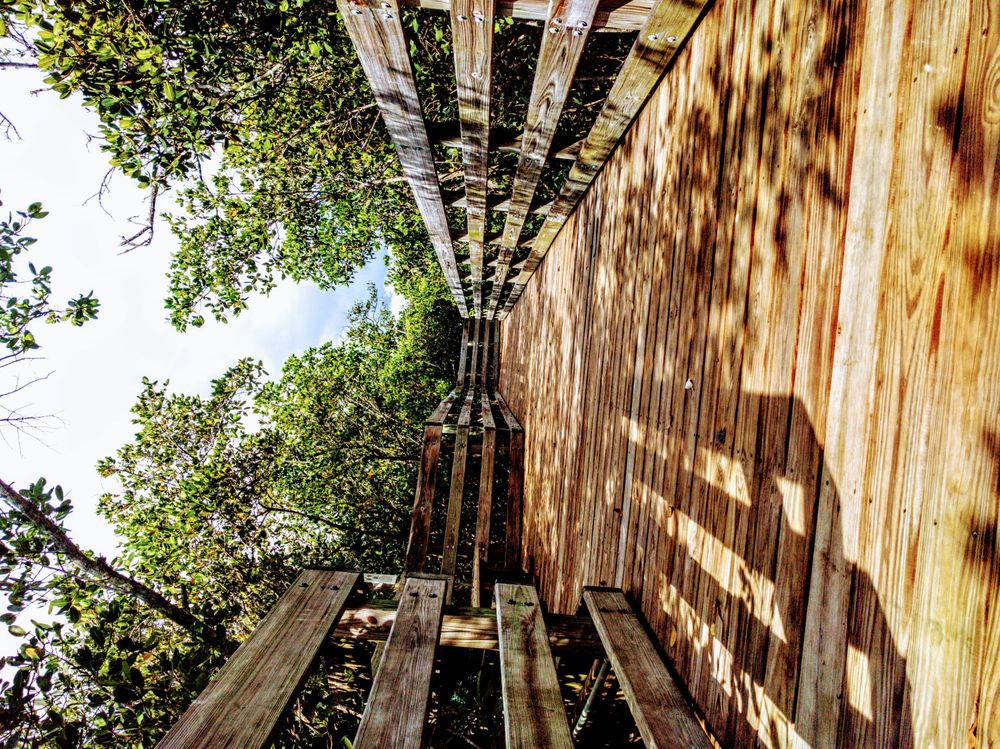 Town Square Nature Park Image