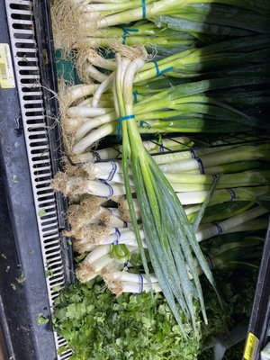 Saraga International Grocery by null