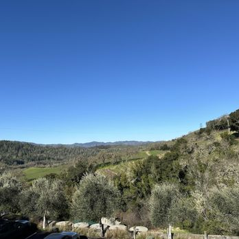 Aonair Wine - Wineries Near Me - St Helena, California