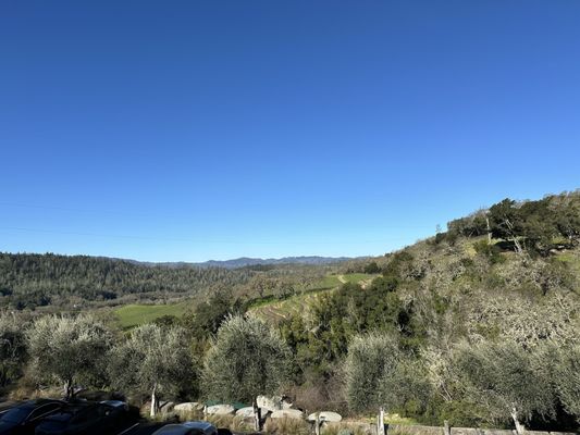 Aonair Winery & Caves by null