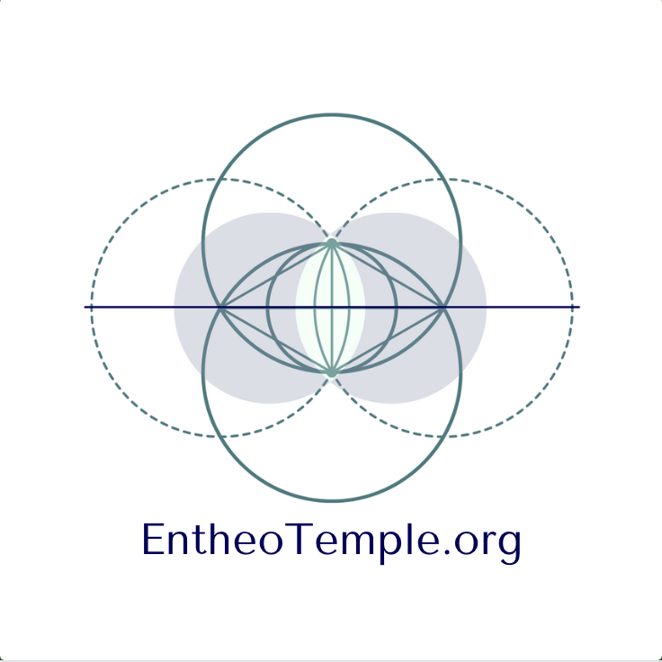 Mira Joleigh - Psychedelic Integration Coaching And Support - grief counselor in Atlanta, GA