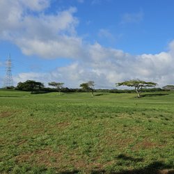 Waiau District Park - 11-6-24. Large Park, lawn area