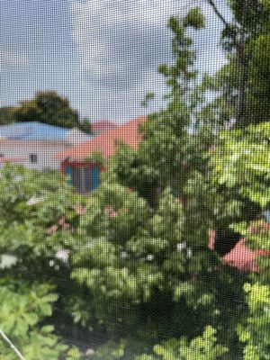 Cruz Bay Boutique Hotel by null