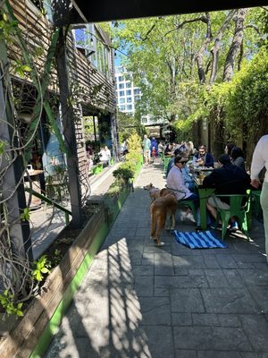 Raleigh Beer Garden by null