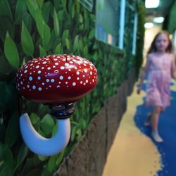 Sensory Innovations & Breslin Occupational Therapy Services