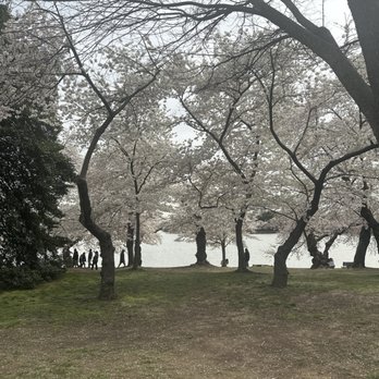 Tidal Basin - Lakes Near Me - Washington, DC, District of Columbia
