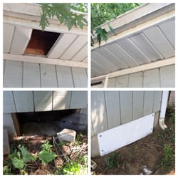 AAAC Wildlife Removal of Lexington Kentucky - Wildlife Damage Repairs