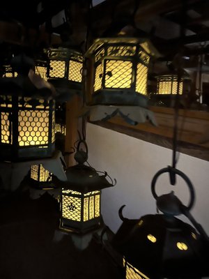 Kasugataisha Shrine by null