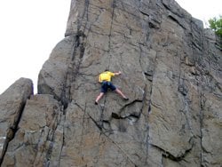 Quincy Quarries Reservation by null