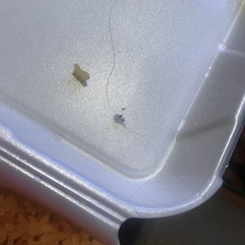 El Burrito Rapido - This is extremely unsanitary and awful - Mexican Near Me - Chicago, Illinois El Burrito Rapido - This is extremely unsanitary and awful - Mexican Near Me - Chicago, Illinois