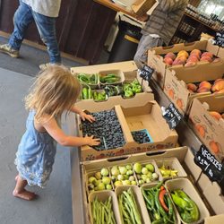 Gunkel Orchards & Fruit Stand