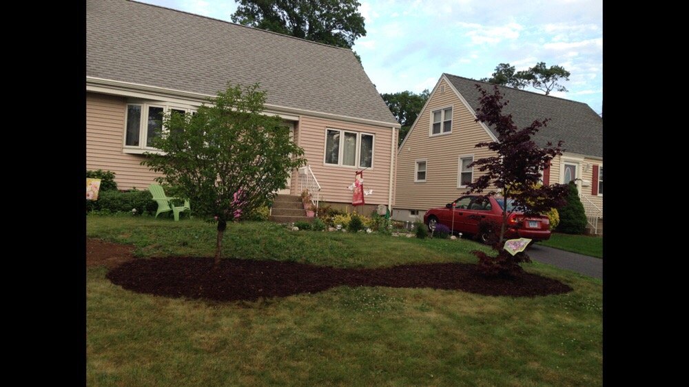 Above the Ground Tree Care - tree service in West Haven, CT