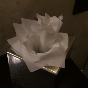 The Gainsborough Bath Spa - even the tissue paper was decorated! hehe - Hotels Near Me - Bath, BAS The Gainsborough Bath Spa - even the tissue paper was decorated! hehe - Hotels Near Me - Bath, BAS