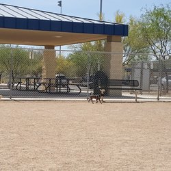 Crossroads At Silverbell Dog Park