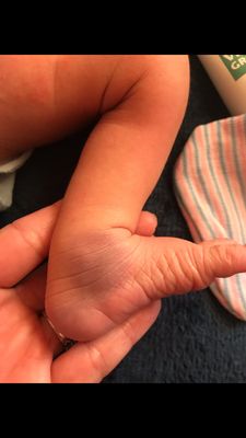 Huntington Hospital by null