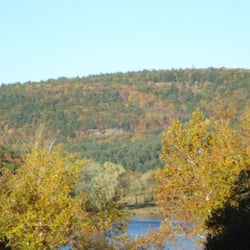 Sylvania Tree Farm