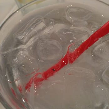 Kinnara Thai - There was bug in the water on my cup and my friends .. - Thai Near Me - Van Nuys, California Kinnara Thai - There was bug in the water on my cup and my friends .. - Thai Near Me - Van Nuys, California