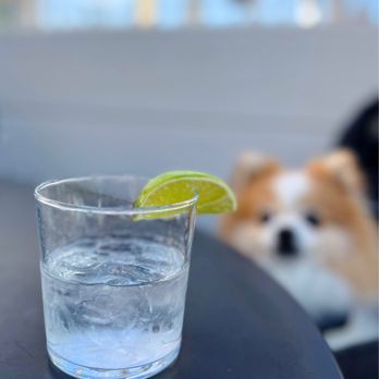 El Techo - Casamigos Blanco (Double-$26) - Latin American Near Me - San Francisco, California