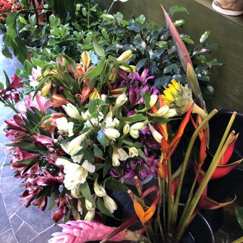 Morning Glory - Florists Near Me - Novato, California Morning Glory - Florists Near Me - Novato, California