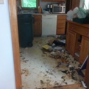Izabella's Cleaning - Before~ Deep Clean with Waste removal - Home Cleaning Near Me