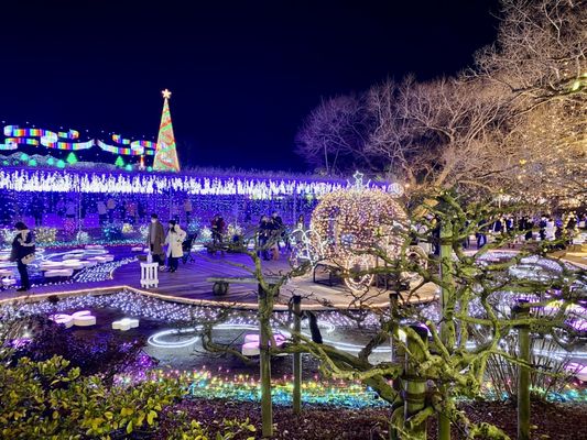 Ashikaga Flower Park by null