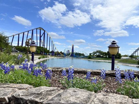 SeaWorld San Antonio by null