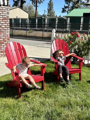 Bear Cupboards Market by null