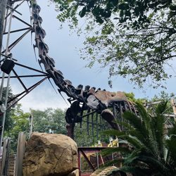 The Boneyard