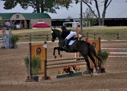 Salem Equestrian Center - equestrian in Benton, AR