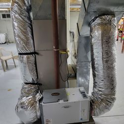 Carl F Riedell & Son