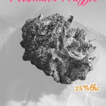 Snoops Doggz Smoke Relief - Available now on the menu please call for prices
Snoopsdoggzsmokerelief.com - Cannabis Dispensaries Near Me Snoops Doggz Smoke Relief - Available now on the menu please call for prices
Snoopsdoggzsmokerelief.com - Cannabis Dispensaries Near Me