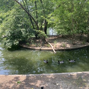 Lafayette Park - Pond and ducks - Parks Near Me - Saint Louis, Missouri Lafayette Park - Pond and ducks - Parks Near Me - Saint Louis, Missouri