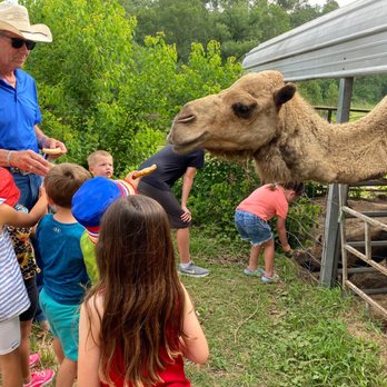The Williams Ranch - Animal feeding every morning at 9am - Vacation Rentals Near Me - Huntsville, Texas The Williams Ranch - Animal feeding every morning at 9am - Vacation Rentals Near Me - Huntsville, Texas