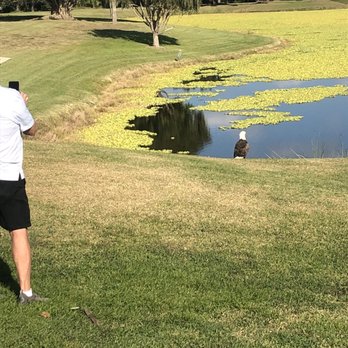 The River Wilderness Club - The Eagle has landed!! - Sporting Goods Near Me - Parrish, Florida