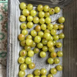 Edible Arrangements - Old mushy grapes, dumped on the bottom