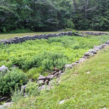 Wentworth State Park - Parks Near Me - Wolfeboro, New Hampshire