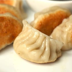 Fried Pork Dumpling